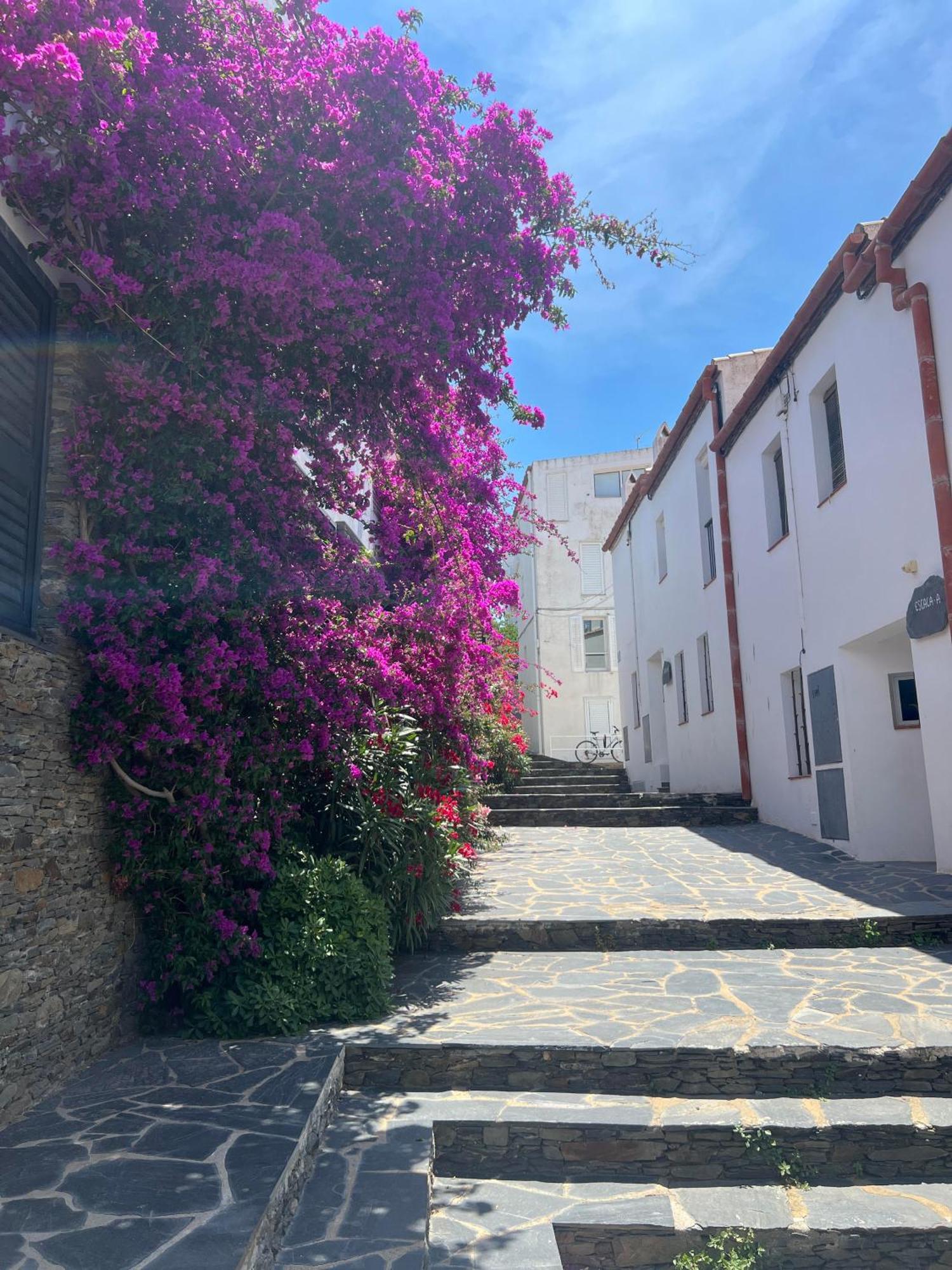 Canvas Apartments&Lofts Cadaqués Exterior foto