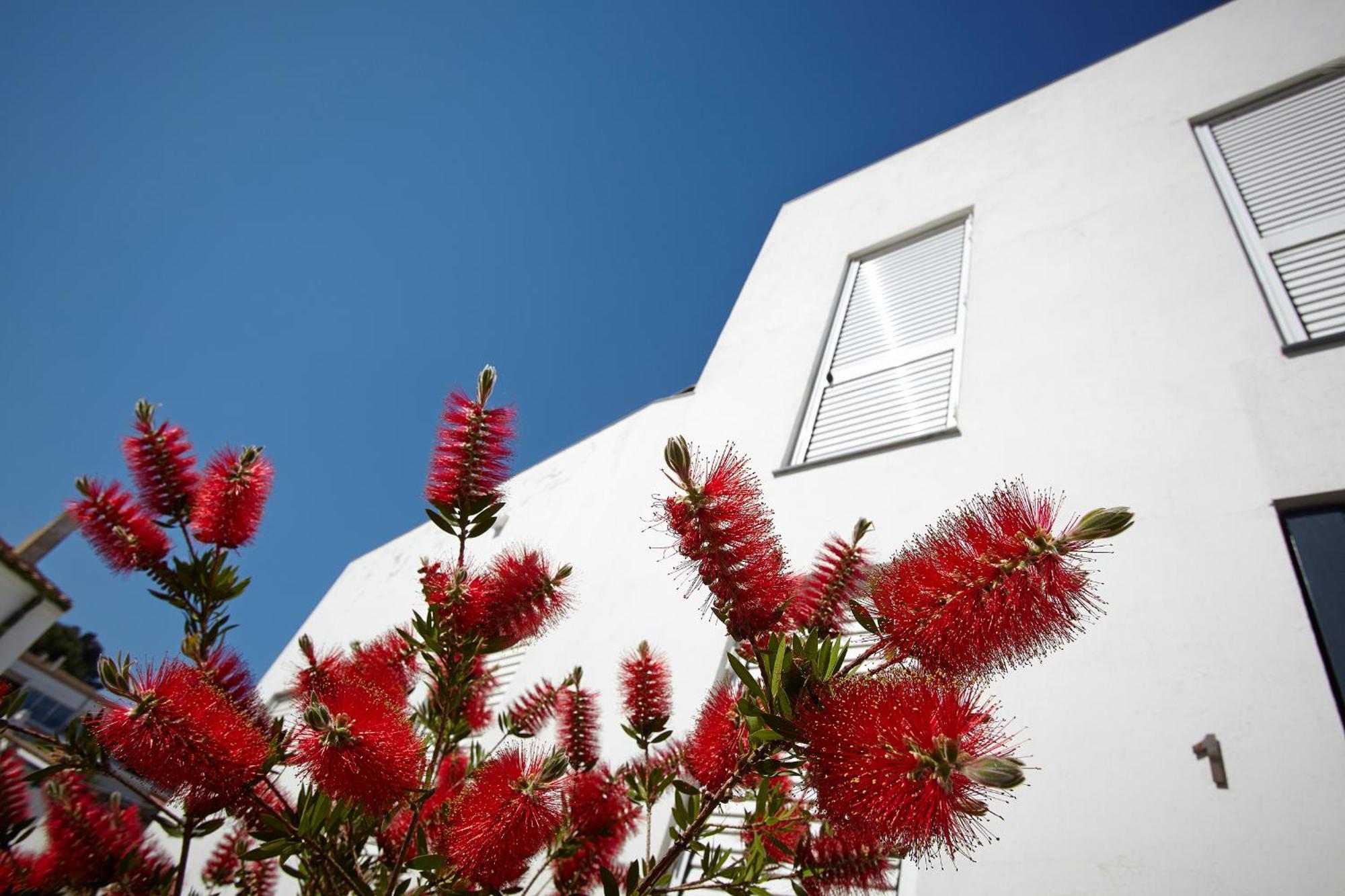 Canvas Apartments&Lofts Cadaqués Exterior foto